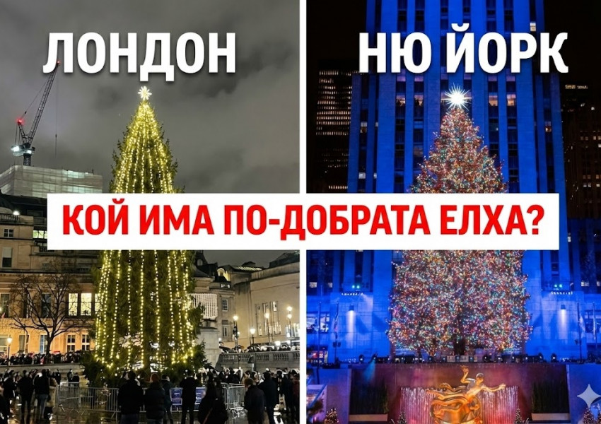 Традиция и сарказъм: Елхата на Трафалгар Скуеър пристигна и раздели мненията на лондончани