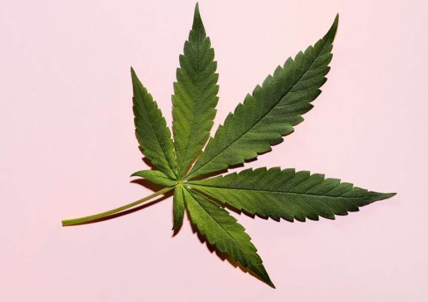 Кои са най-евтините страни за алкохол и наркотици?