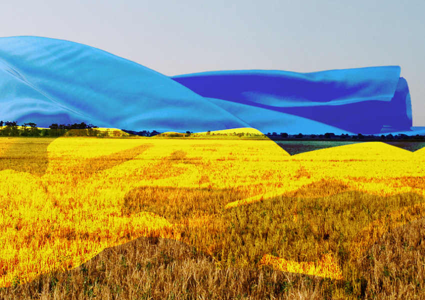Русия официално обяви, че започва транспорта и продажбата на украинско зърно от завладените територии, които тя нарича освободени