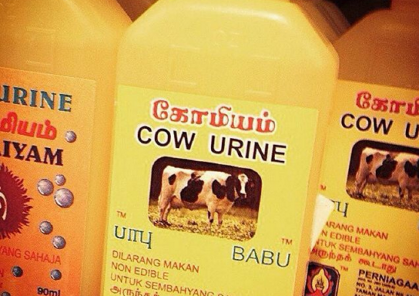 Лондонски магазини продават кравешка урина