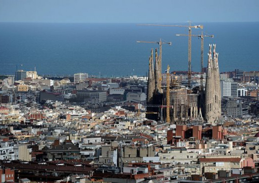 Поставят гълъбите в Барселона на противозачатъчни