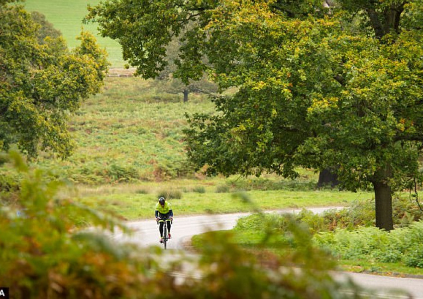Внимание! Жълт код за опасно време!