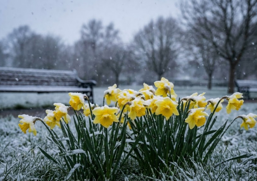 Рязко застудяване и сняг във Великобритания: Мартенски изненади през уикенда Рязко застудяване и сняг във Великобритания: Мартенски изненади през уикенда