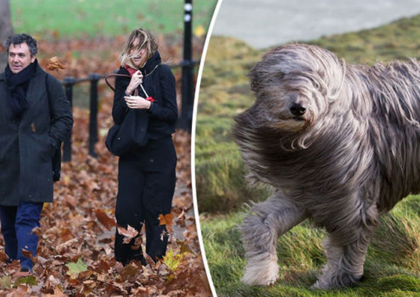 Слънчево, но студено днес