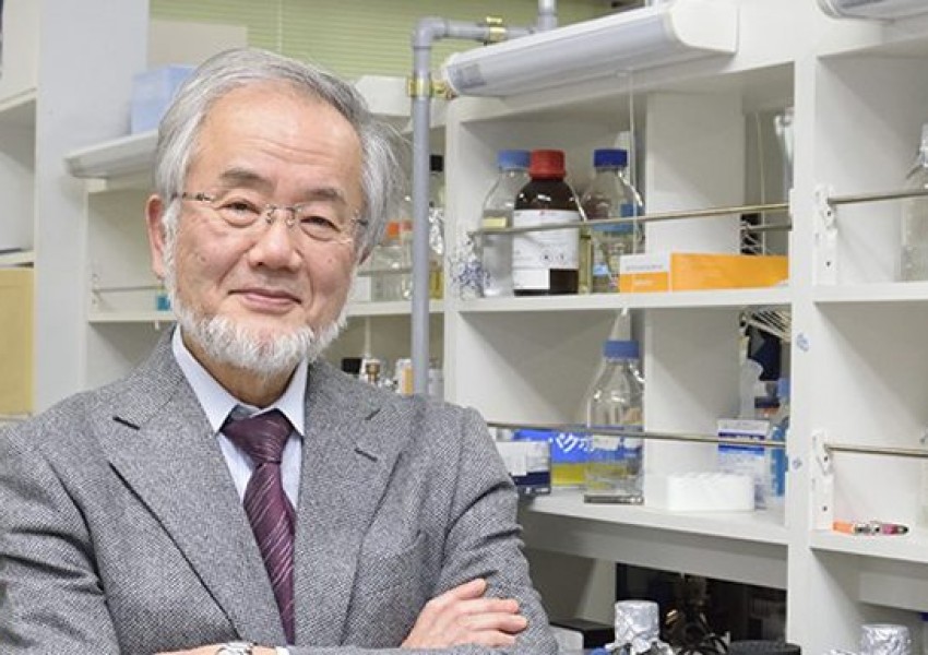 Японец спечели Нобел за медицина