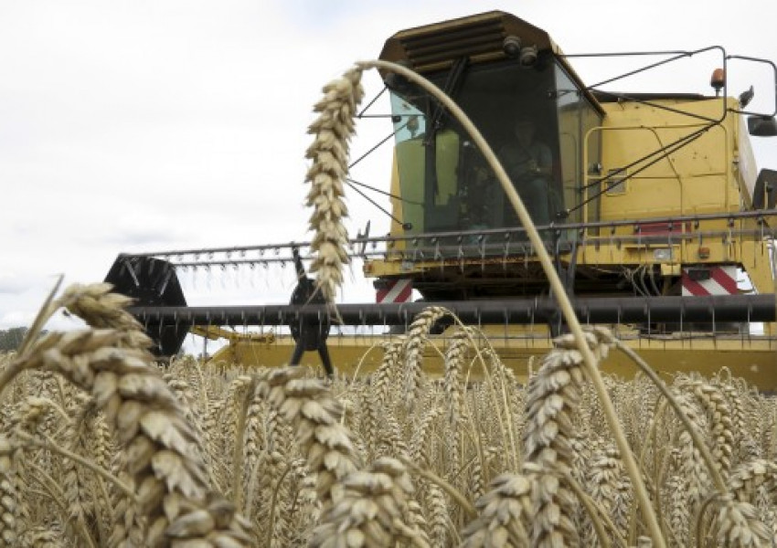 Тежък удар по земеделците след "Брекзит"