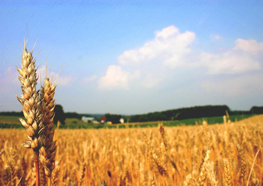 Синдикати: Хиляди българи работят без договори в чужбина