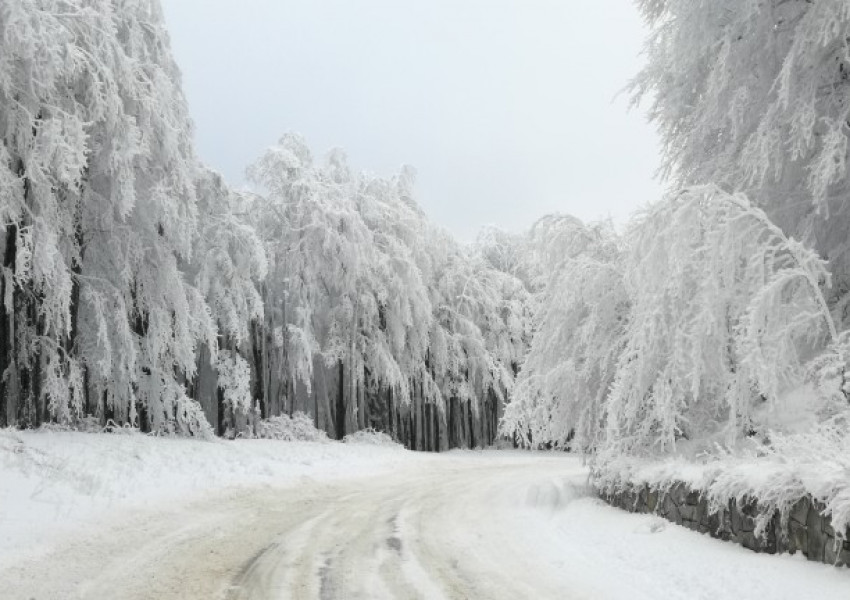 В Ирландия се запасяват като за последно