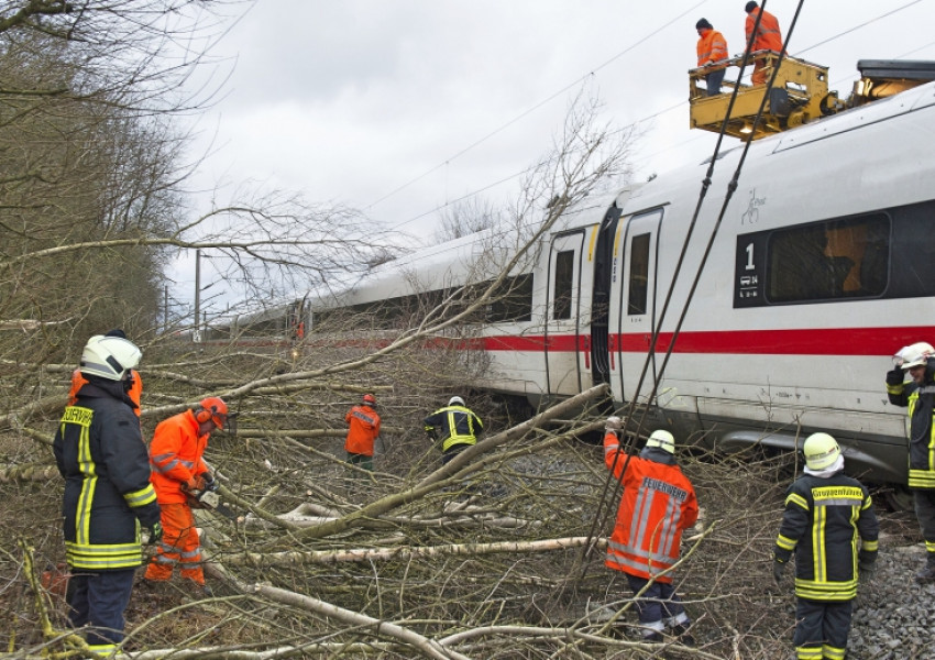 Зимната буря взе поне десет жертви в четири страни в Европа